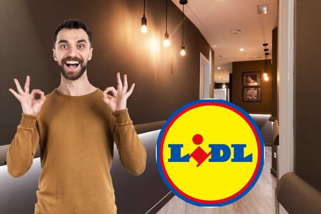 Lidl casa moderna