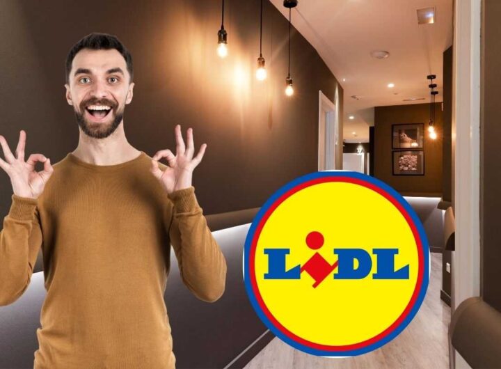 Lidl casa moderna